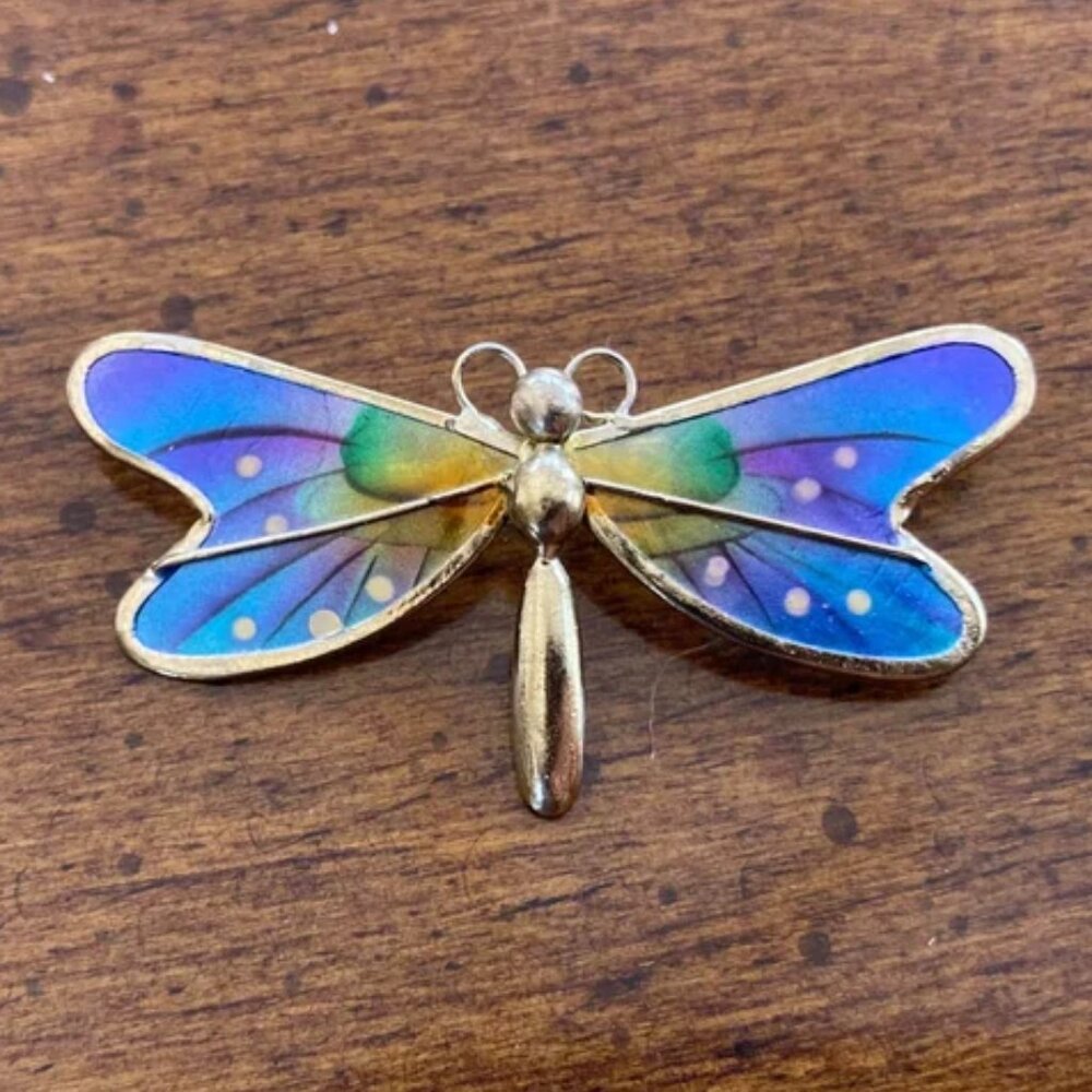 Rainbow butterfly brooch